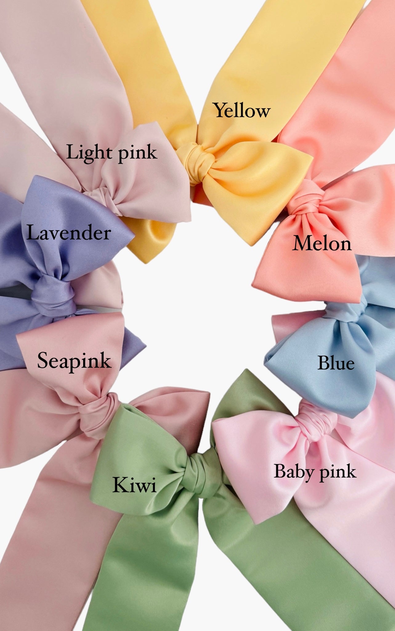 ,A Cute Teddy in Spring